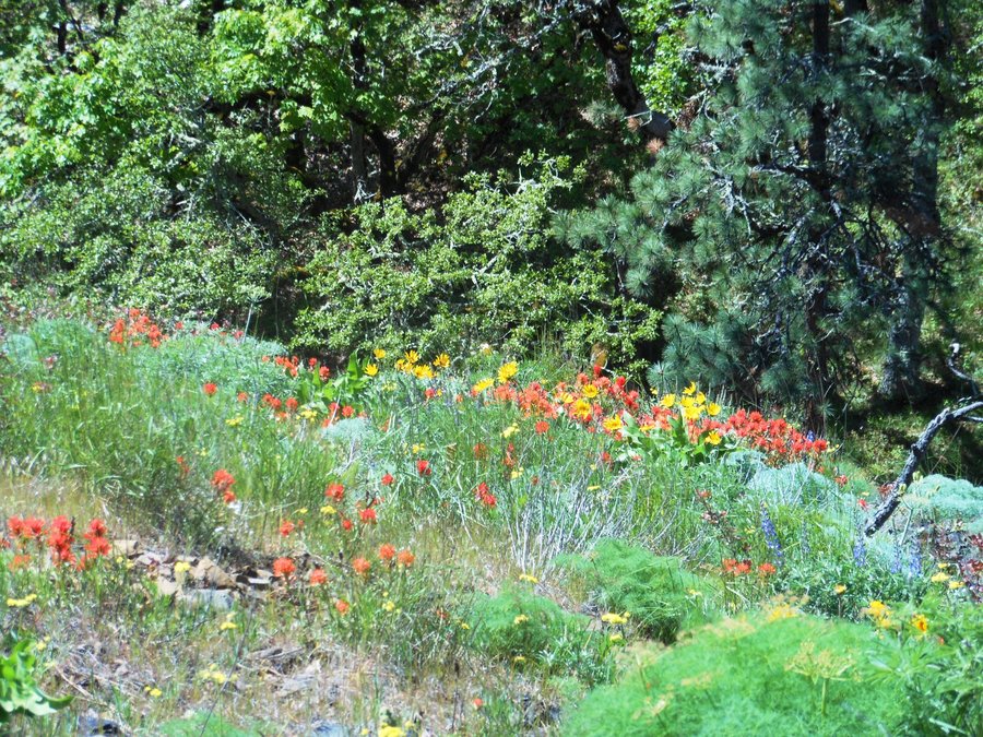 Photo from Catherine Creek East Loop