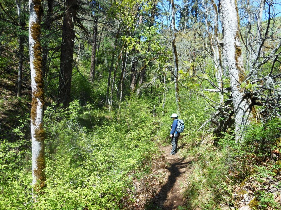 Photo from Catherine Creek East Loop