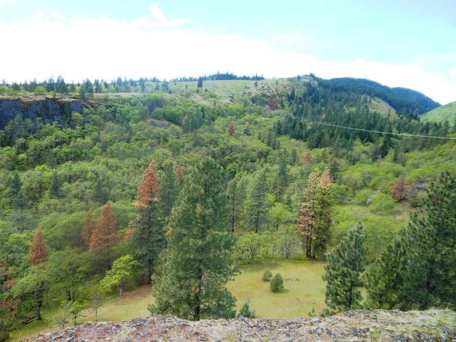 Photo from Catherine Creek East Loop