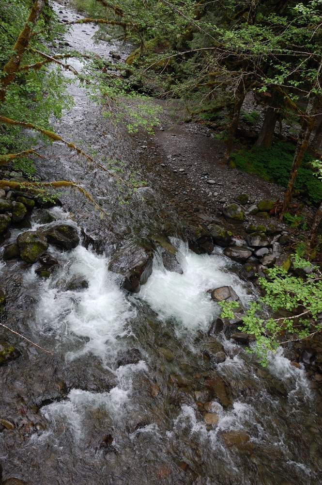 S Fork Salmon River at the beginning of the hike