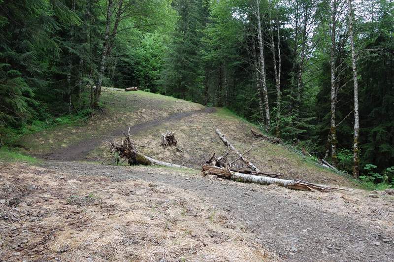 Road converted to trail