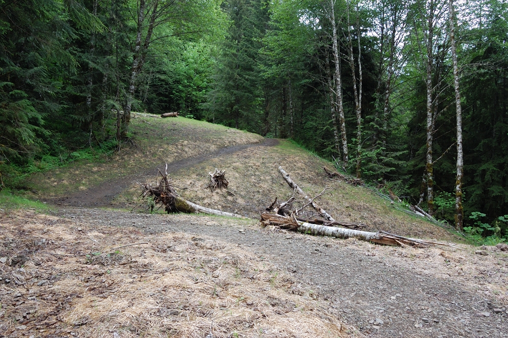 Road converted to trail