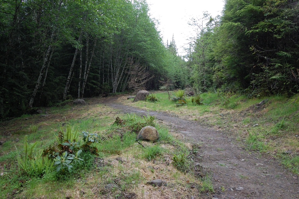 Road converted to trail