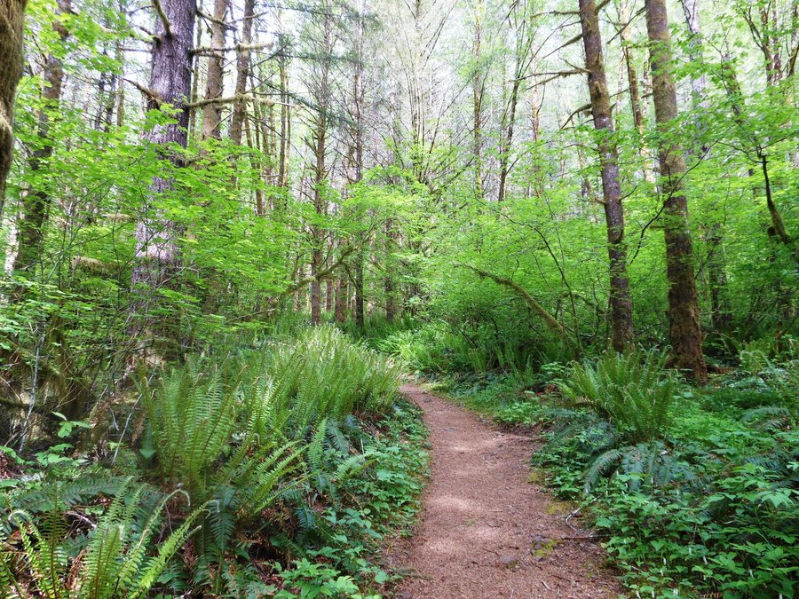 Photo from Kings Mtn / Jr Loop