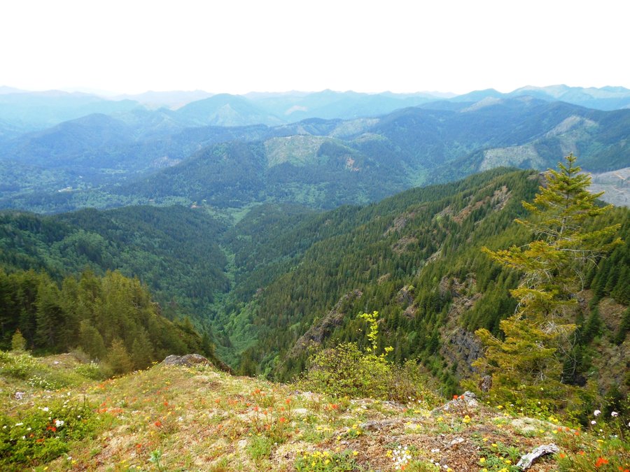 Photo from Kings Mtn / Jr Loop