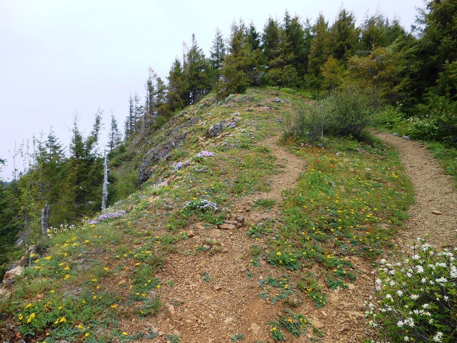 Photo from Kings Mtn / Jr Loop