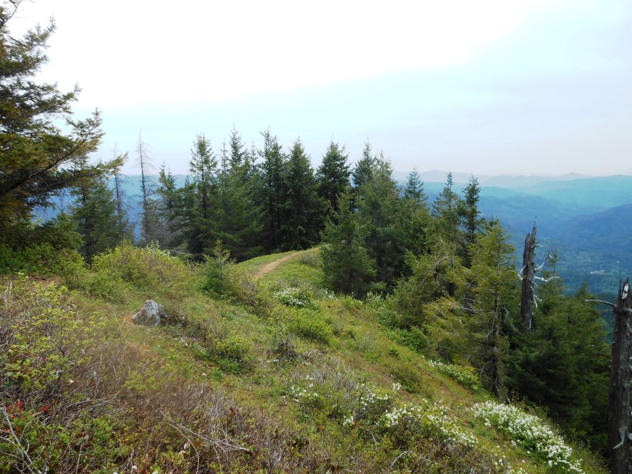 Photo from Kings Mtn / Jr Loop