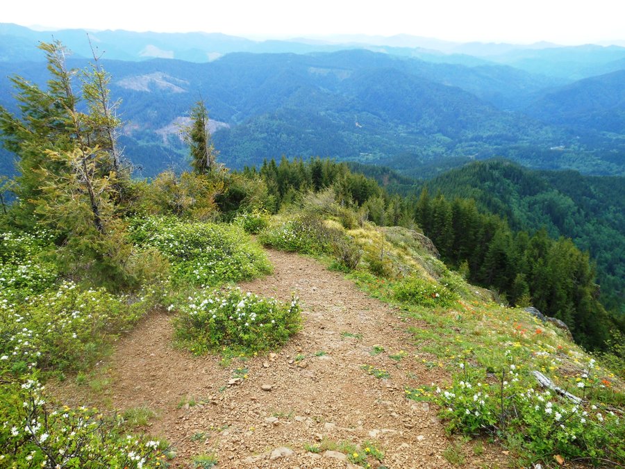 Photo from Kings Mtn / Jr Loop