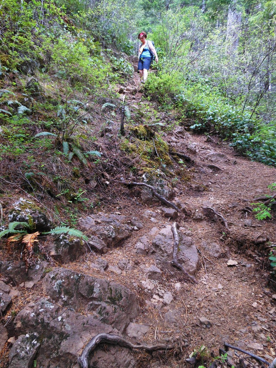 Photo from Kings Mtn / Jr Loop