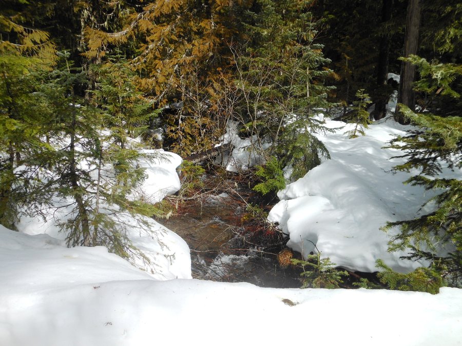 Photo from Ski Bowl East to Summit Meadow Snowshoe