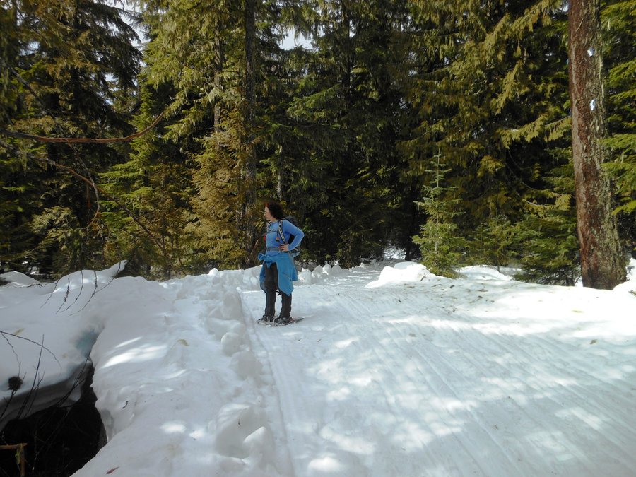 Photo from Ski Bowl East to Summit Meadow Snowshoe