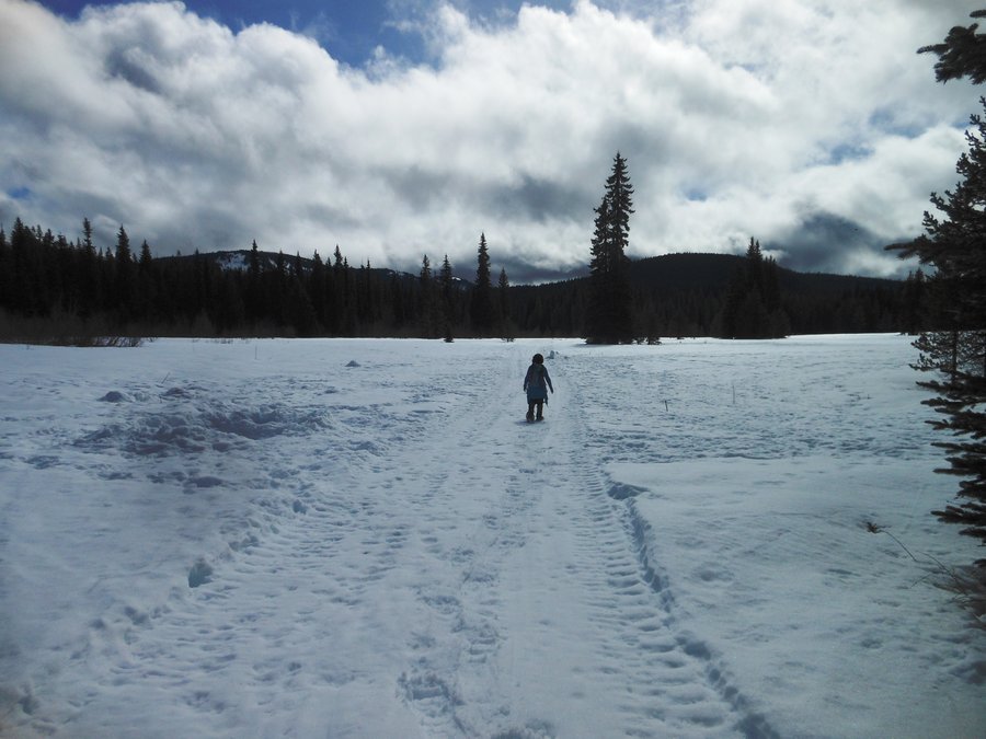 Photo from Ski Bowl East to Summit Meadow Snowshoe