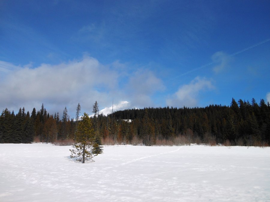 Photo from Ski Bowl East to Summit Meadow Snowshoe