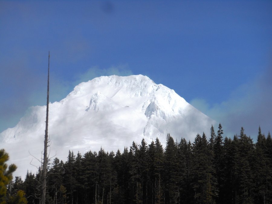 Photo from Ski Bowl East to Summit Meadow Snowshoe