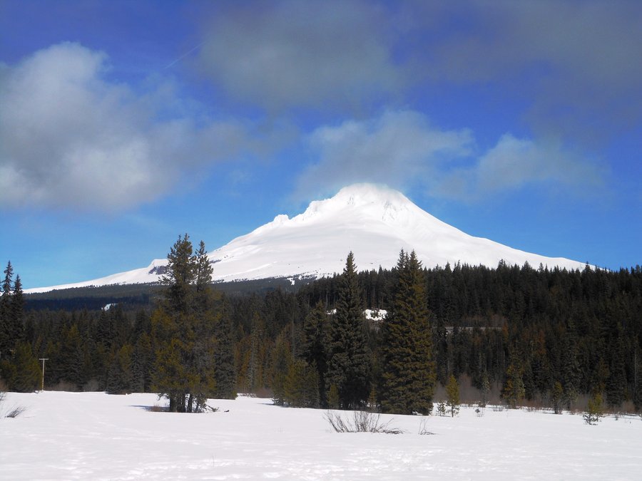 Photo from Ski Bowl East to Summit Meadow Snowshoe