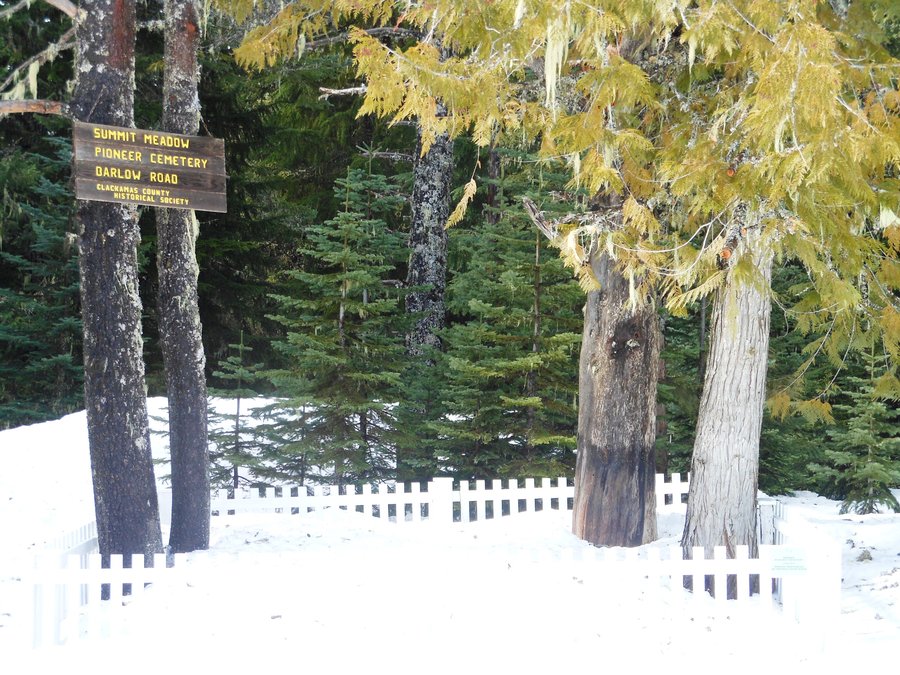 Photo from Ski Bowl East to Summit Meadow Snowshoe