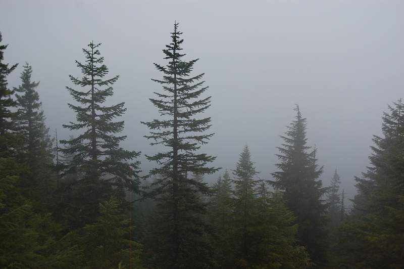 The next viewpoint (I can just make Mt. Hood in that direction)