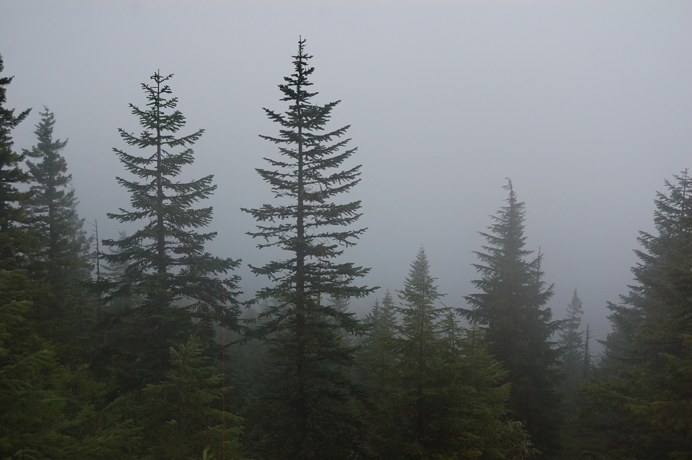 The next viewpoint (I can just make Mt. Hood in that direction)