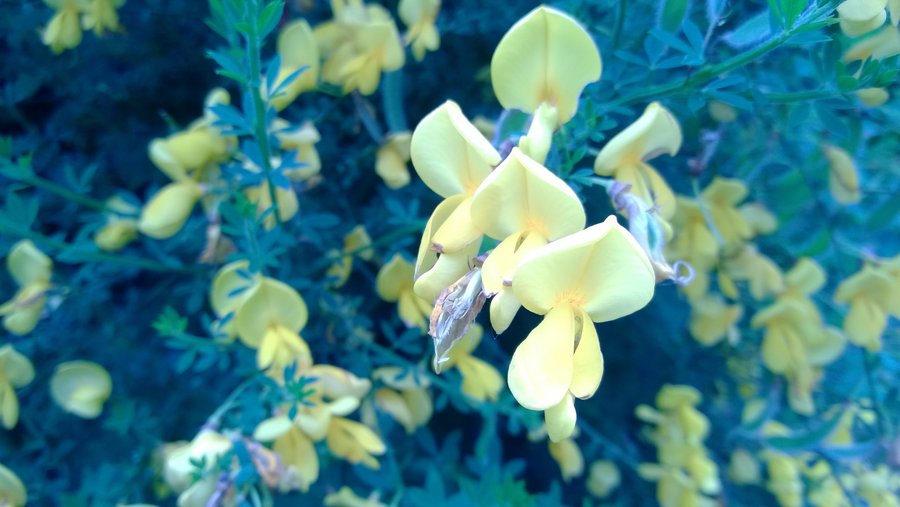 Photo from North Bonneville Heritage trails