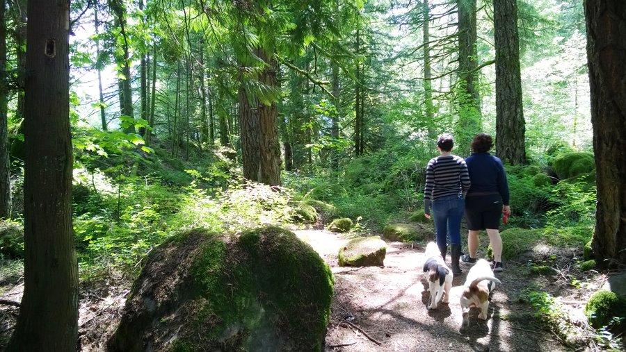Photo from North Bonneville Heritage trails