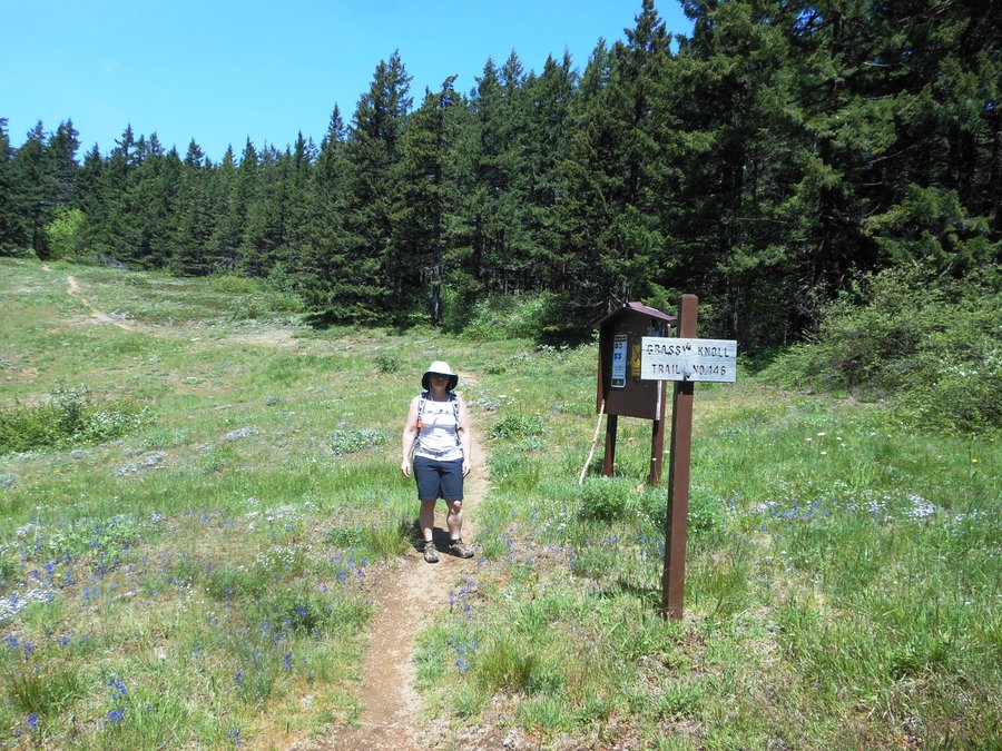 Photo from Picnic Hike to Grassy Knoll / Grassy Pass