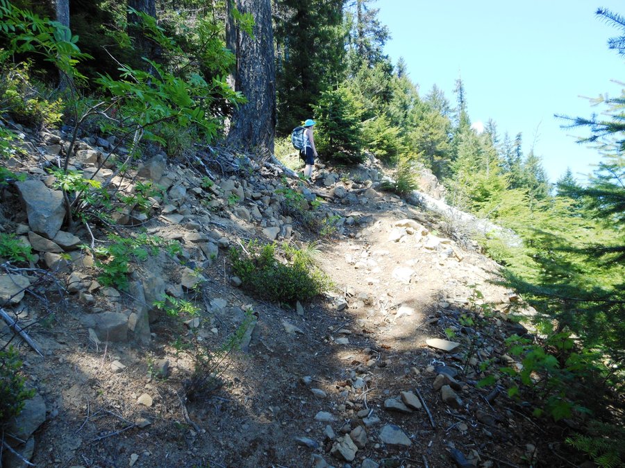 Photo from Picnic Hike to Grassy Knoll / Grassy Pass