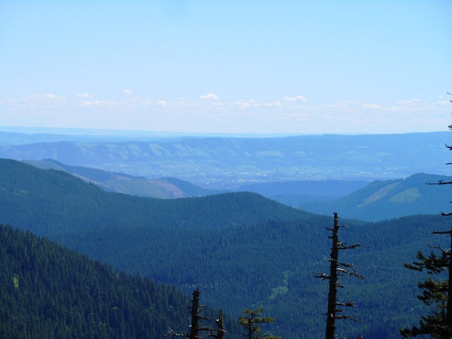 Photo from Picnic Hike to Grassy Knoll / Grassy Pass
