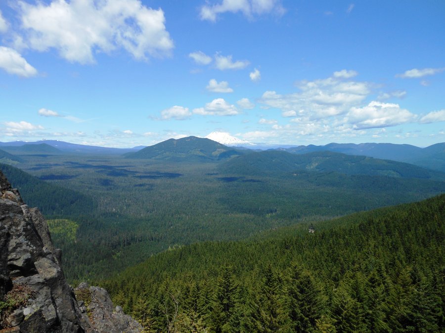 Photo from Picnic Hike to Grassy Knoll / Grassy Pass