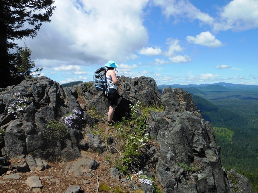 Photo from Picnic Hike to Grassy Knoll / Grassy Pass