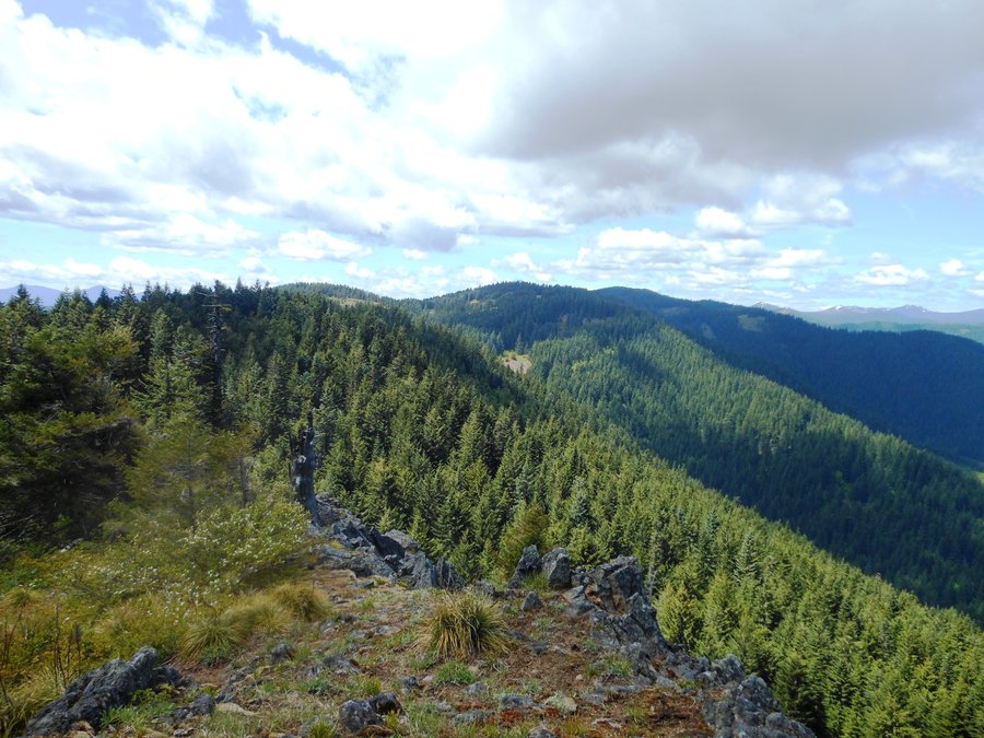 Photo from Picnic Hike to Grassy Knoll / Grassy Pass