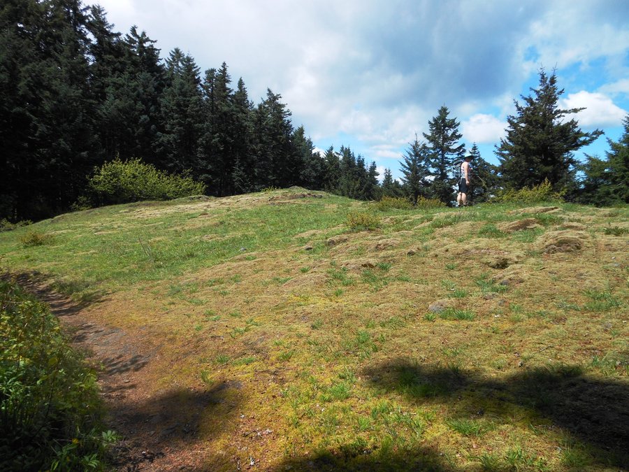 Photo from Picnic Hike to Grassy Knoll / Grassy Pass