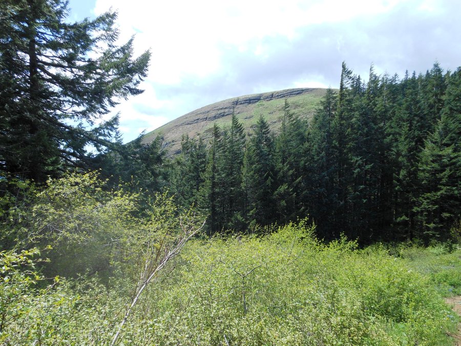 Photo from Picnic Hike to Grassy Knoll / Grassy Pass