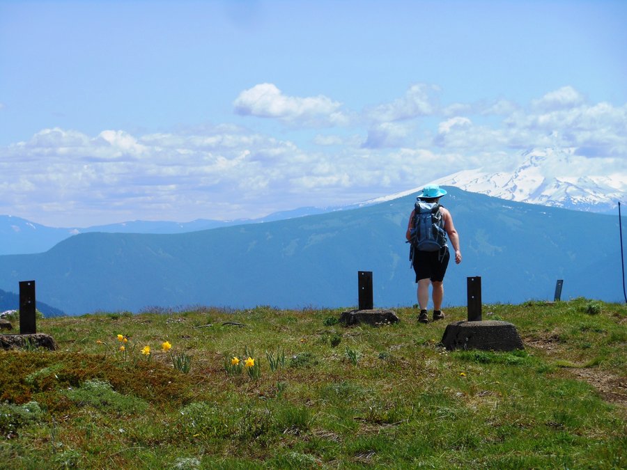 Photo from Picnic Hike to Grassy Knoll / Grassy Pass