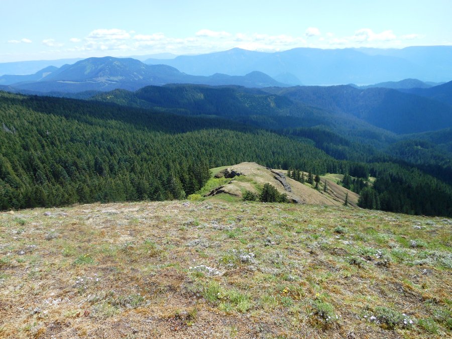 Photo from Picnic Hike to Grassy Knoll / Grassy Pass