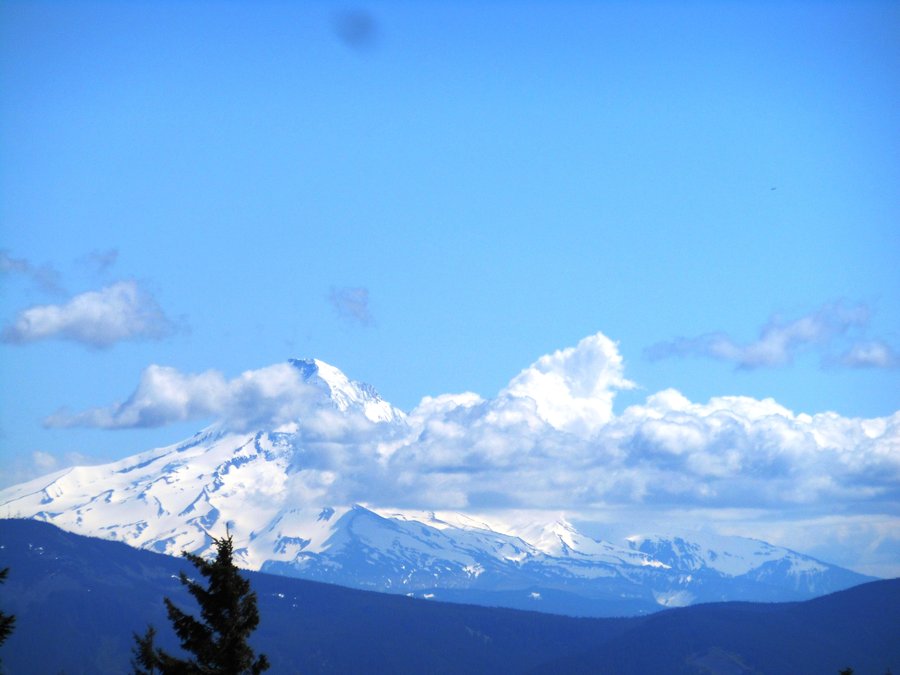 Photo from Picnic Hike to Grassy Knoll / Grassy Pass