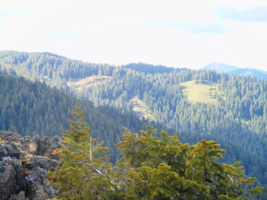 Photo from Picnic Hike to Grassy Knoll / Grassy Pass