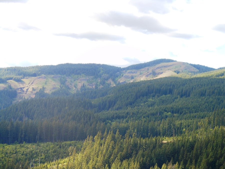 Photo from Picnic Hike to Grassy Knoll / Grassy Pass