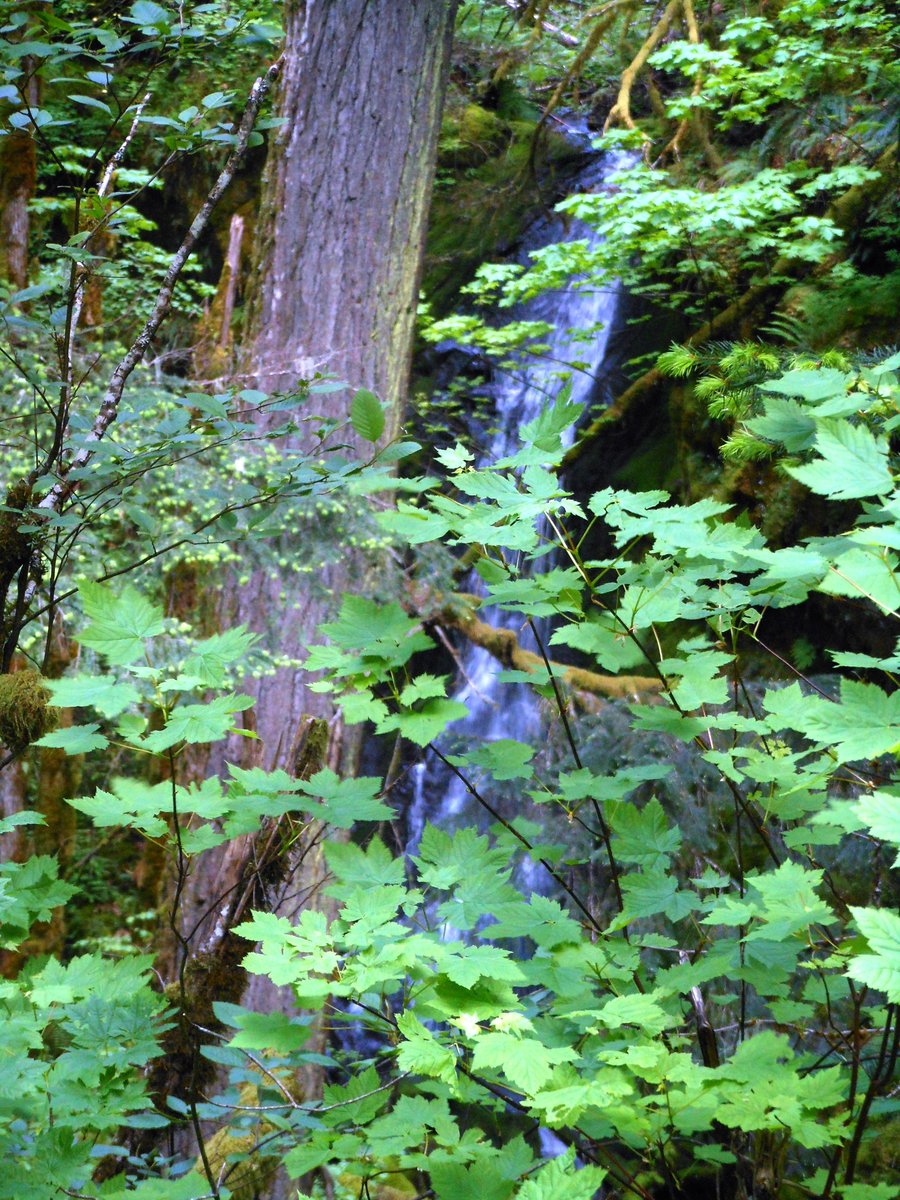 Photo from Picnic Hike to Grassy Knoll / Grassy Pass