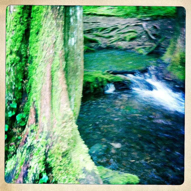 the spring