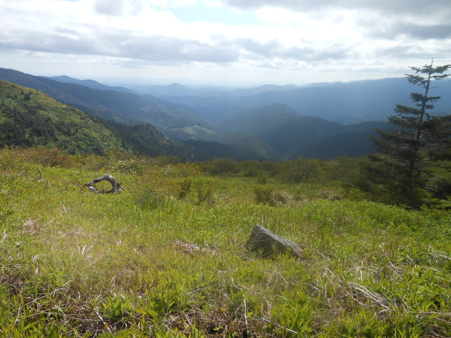 Photo from 3 Corner Rock via PCT from the North