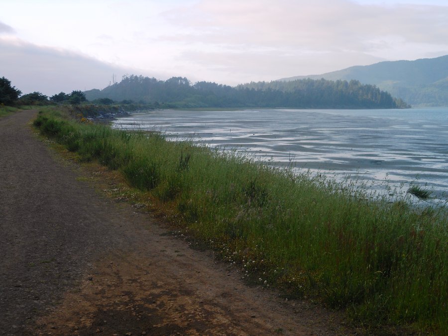 Photo from Bayocean Spit small Loop