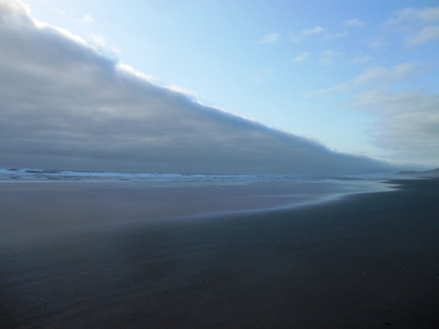 Photo from Bayocean Spit small Loop