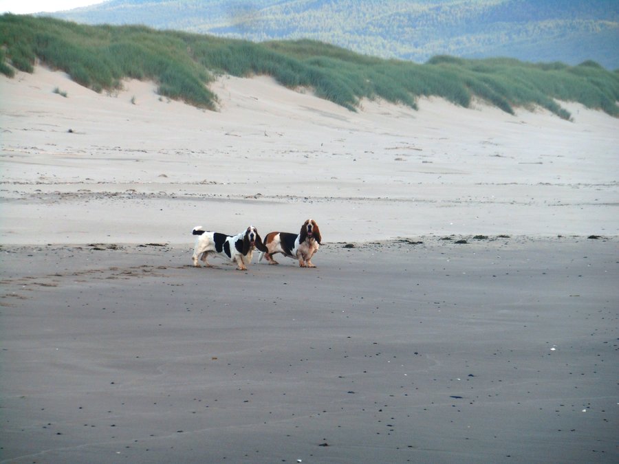 Photo from Bayocean Spit small Loop