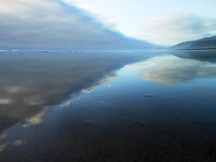 Photo from Bayocean Spit small Loop