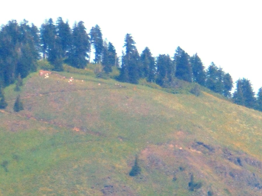 Photo from Wind Mountain