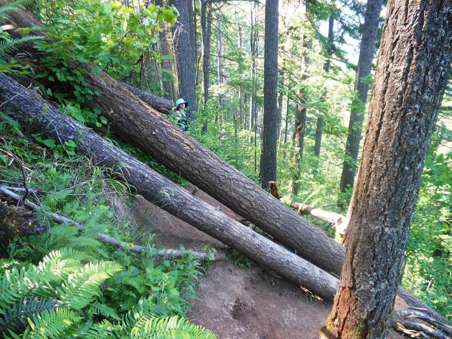 Photo from Wind Mountain