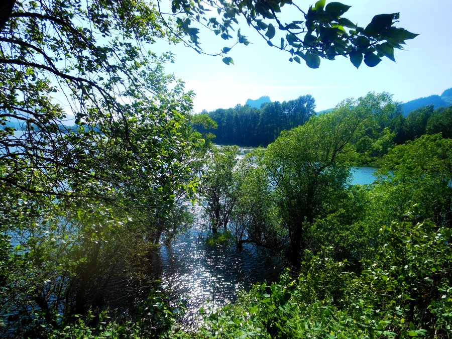 Photo from Strawberry Island Loop