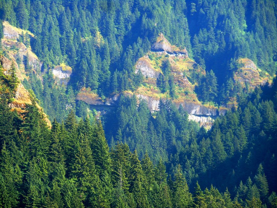 Photo from Strawberry Island Loop