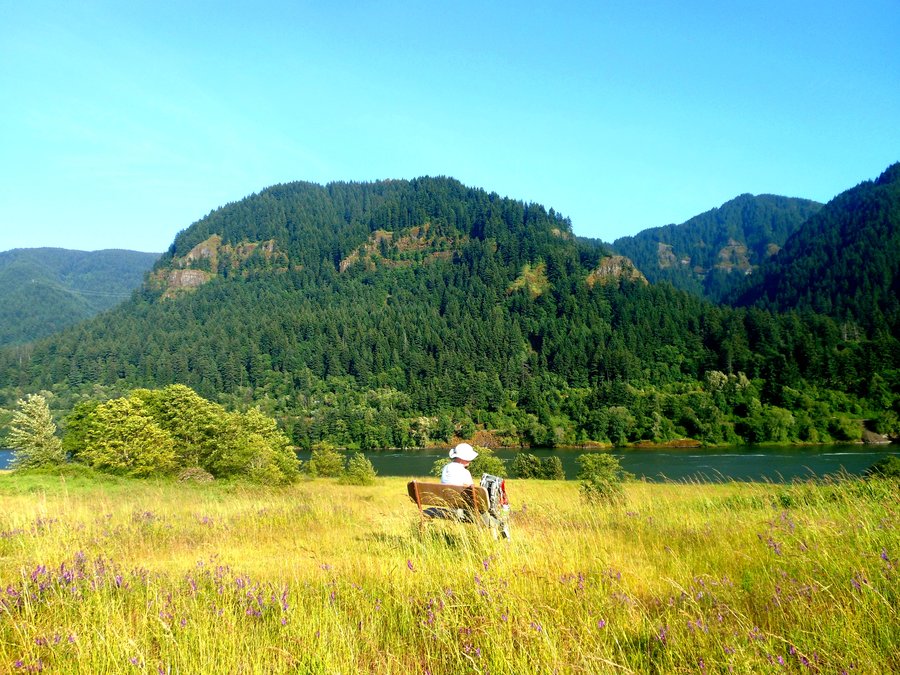 Photo from Strawberry Island Loop