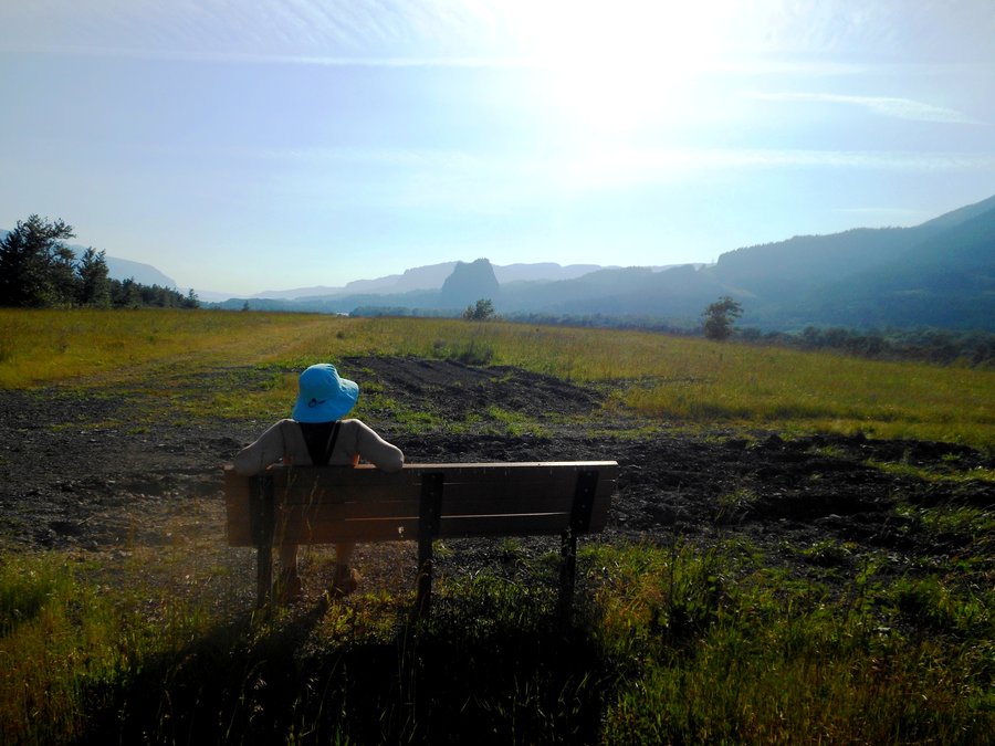 Photo from Strawberry Island Loop